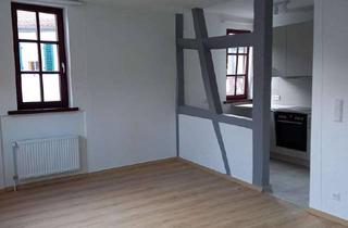 Wohnung mieten in Kleine Maingasse, 63500 Seligenstadt, Helle, freundliche 1-Zimmerwohnung
