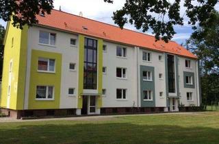 Wohnung mieten in Wendenstraße 15, 27751 Schafkoven/Donneresch, Helle 2-Zimmer-Wohnung mit Balkon