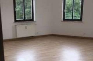Wohnung mieten in Bahnhofstraße 15, 07919 Mühltroff, Schöne 2,5 Raum im DG mit Lam. & viel Platz