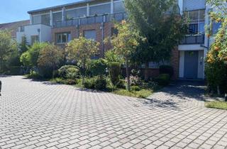 Wohnung mieten in Nikolaus-Reuss-Str 3a, 67549 Neuhausen, Großzügige 2-Zimmer-Wohnung + großer Dachterrasse