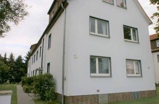 Wohnung mieten in Amelungstraße 44, 29225 Celle, Ruhig und doch zentrale 2-Zi-Wohnung in Celle-Heese