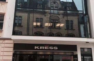 Lofts mieten in Innere Schneeberger Straße, 08056 Innenstadt, Moderne offene Galeriewohnung im Loftstil