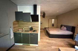 Wohnung mieten in 99625 Kölleda, Möblierte kleine 1-Raum-Wohnung mit offener Küche, Duschbad und Flur neu saniert (2025) zu vermieten