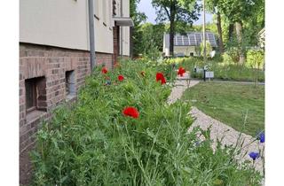 Wohnung mieten in Amselweg 10, 16761 Hennigsdorf, Licht & Ruhe im Grünen: Charmante Wohnung mit Südwestbalkon und Gartenzugang