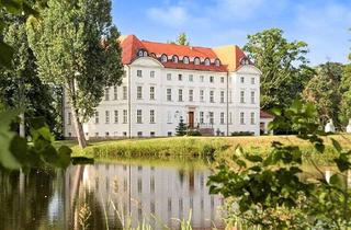 Haus kaufen in 19217 Wedendorf, Absolute Rarität! Herrschaftliches Schloss-Anwesen in ländlich-idyllischer Lage von Mecklenburg!