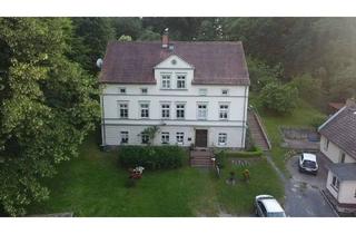 Mehrfamilienhaus kaufen in 02953 Bad Muskau, Traumhaftes Mehrfamilienhaus mit wunderschöner Parkanlage