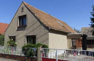 Haus kaufen in 01619 Zeithain, Entfaltungsmöglichkeiten für Kreative - EFH in Zeithain