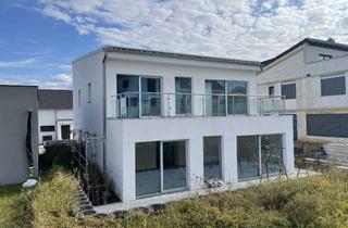 Villa kaufen in 74861 Neudenau, Moderne Design-Villa mit zwei Wohneinheiten in Neudenau – ca. 189 m² Wohnfläche, sofort bezugsbereit