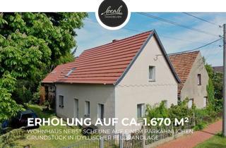 Einfamilienhaus kaufen in 06925 Groß Naundorf, Ländliches Idyll trifft auf charmante Vielseitigkeit - Einfamilienhaus, Stallgebäude und Traumgarten
