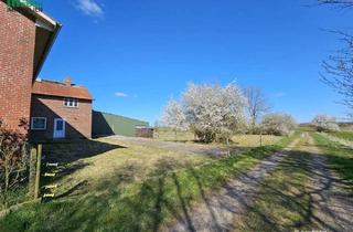 Haus kaufen in 25855 Haselund, Historischer Resthof mit 242 m² WF, ca. 1150 m² Nutzfläche auf ca. 3,5 ha Land
