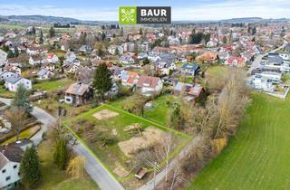 Grundstück zu kaufen in 88271 Wilhelmsdorf, Erschlossenes Baugrundstück mit 1616 m² in Wilhelmsdorf - Perfekt für Eigennutzer und Bauträger