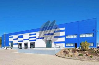 Büro zu mieten in 61449 Steinbach, NEUBAU NACH MIETERWUNSCH ✓ Lager (4.000 m²) & Büro (600 m²)