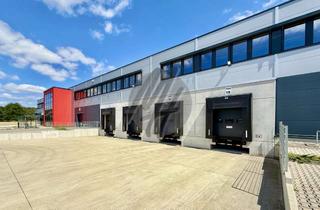 Büro zu mieten in 61449 Steinbach, NEUBAU / ERSTBEZUG ✓ AB Q4-2026 ✓ Lager (4.900 m²) & Büro (1.750 m²)