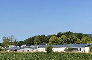 Gewerbeimmobilie kaufen in 32049 Herford, Gewerbehalle mit Potenzial in verkehrsgünstiger Lage