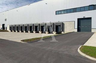 Gewerbeimmobilie mieten in 50170 Kerpen, MODERNE LOGISTIKFLÄCHEN | EBENERDIG & RAMPE | 10,50 UKB | ZUR MIETE