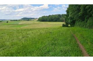 Grundstück zu kaufen in 82229 Seefeld, 18.000 m² Grünland - provisionsfrei