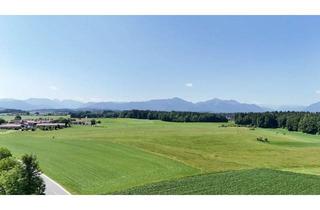 Grundstück zu kaufen in 83365 Nußdorf, Attraktives Baugrundstück