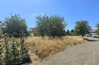 Grundstück zu kaufen in 68753 Waghäusel, Bauplatz für ein Reihenmittelhaus
