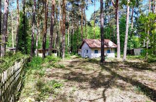 Grundstück zu kaufen in 14547 Beelitz, Grundstück in 1. Reihe