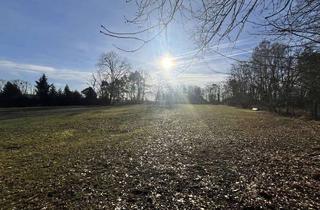 Grundstück zu kaufen in 06868 Thießen, 2.599 m² großes Grundstück - genügend Platz für die ganze Familie in Thießen!