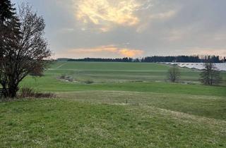 Grundstück zu kaufen in 86479 Aichen, Schönes Baugrundstück (teilbar) in ruhiger Lage in Aichen