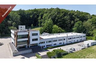 Gewerbeimmobilie kaufen in 49152 Bad Essen, - Provisionsfrei -Repräsentative und moderne Büro- und Produktionsimmobilie