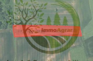 Gewerbeimmobilie kaufen in 91080 Uttenreuth, Verkaufe 0,41 ha Ackerland bei 91080 Uttenreuth (ERH)