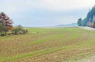 Gewerbeimmobilie kaufen in Hauptstraße, 93309 Kelheim, ca. 5 ha Ackerland / Ackergrundstück im Stadtgebiet Kelheim