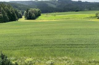 Penthouse kaufen in 95131 Schwarzenbach a Wald, Penthouse-Wohnung - Wohnen Sie mit Naturblick ;-)