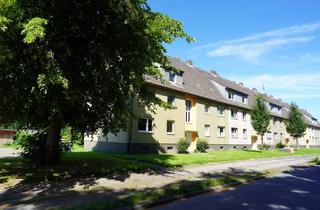 Wohnung mieten in Albrechtstraße 76, 26388 Fedderwardergroden, Modernisierte 3-Zimmer- Wohnung mit Gartenblick