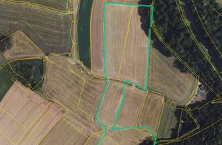 Grundstück zu kaufen in 82237 Wörthsee, 33.000 m² Grünland - provisionsfrei