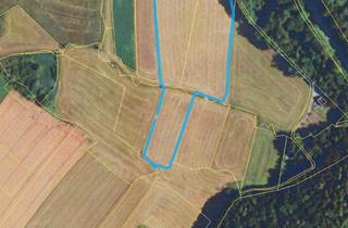 Grundstück zu kaufen in 82237 Wörthsee, ebene Grünlandfläche- provisionsfrei