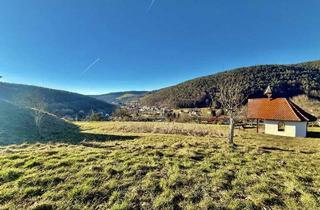 Grundstück zu kaufen in 63874 Dammbach, Idyllisches Baugrundstück in Dammbach: Natur pur wartet auf Sie!