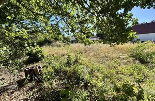 Grundstück zu kaufen in 06901 Radis, Baugrundstück in Radis - Ihr ruhiger Lebensmittelpunkt vor den Toren Luthers