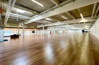 Gewerbeimmobilie kaufen in 41812 Erkelenz, Investobjekt in Erkelenz: 7.827 m² Verkaufsfläche auf 18.000 m² Grundstück