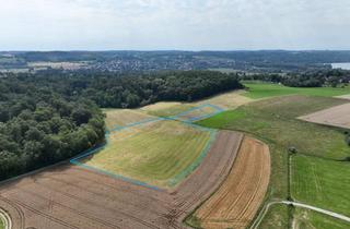 Gewerbeimmobilie kaufen in 82237 Wörthsee, ebene Grünlandfläche- provisionsfrei