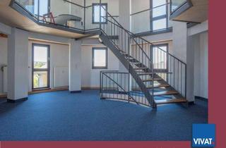 Gewerbeimmobilie mieten in 61250 Usingen, Ausstellungsfläche/Büro mit besonderem Flair! Gute Lage im Gewerbegebiet von Usingen 1.