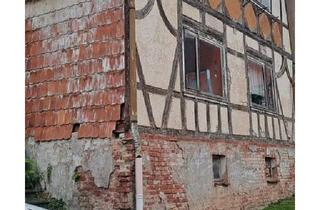 Haus kaufen in 99759 Sollstedt, Sollstedt - Haus mit Grundstück in 99759 Rehungen - ruhige Lage