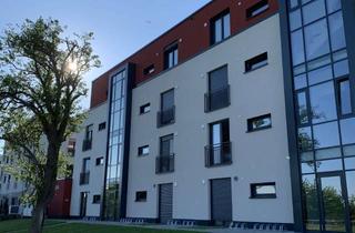 Penthouse mieten in Hinter Dem Schlädchen, 64846 Groß-Zimmern, Einzigartiges Penthouse für den Weitblick mit Einbauküche