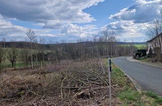 Grundstück zu kaufen in 08541 Neuensalz, Baugrundstück mit B.-Plan für EFH/DHH, einzelne Parzellen verfügbar, ohne Bauträgerbindung