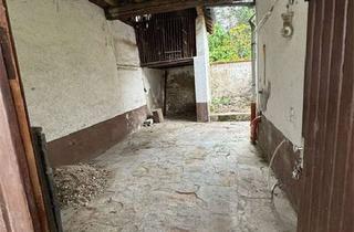 Haus kaufen in 67245 Lambsheim, +++ ABRISSBEDÜRFTIGES, KLEINES EFH MIT SCHÖNEM GRUNDSTÜCK FÜR DEN HANDWERKER ZU VERKAUFEN +++