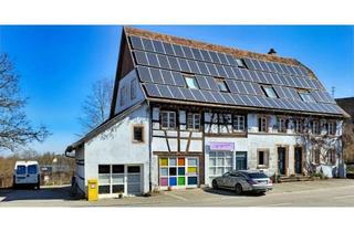 Mehrfamilienhaus kaufen in 72160 Horb, *Attraktives Mehrfamilienhaus mit riesigem Grundstück in Top-Lage*