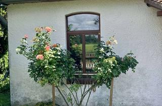 Bauernhaus mieten in 29352 Adelheidsdorf, Renoviertes Bauernhaus auf Resthof