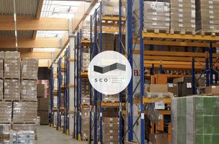Gewerbeimmobilie mieten in 64839 Münster, ca. 400qm Halle | 5m Deckenhöhe | SCO Commercial