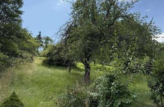 Grundstück zu kaufen in 73630 Remshalden, Ruhiges Wochenendgrundstück für die Familie!