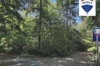 Grundstück zu kaufen in 15344 Strausberg, Erholungsgrundstück zwischen Bötzsee und Fängersee - Verkauf im Angebotsverfahren!