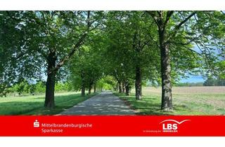 Grundstück zu kaufen in 16359 Biesenthal, Grundstück im Dornröschen-Schlaf