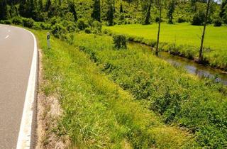 Grundstück zu kaufen in 91346 Wiesenttal, Ödland/Wiese am Ufer der Aufseß - Biberwiese zum Verkauf bei Draisendorf/Wiesenttal