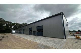 Gewerbeimmobilie mieten in 25358 Horst, Neubau Gewerbe- oder Lagerhalle im Gewerbegebiet G6 in 25358 Horst