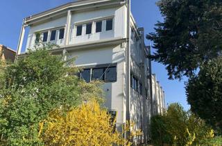 Büro zu mieten in Rüdesheimer Straße xx, 65239 Hochheim, Hochheim - Bürofläche in einem Bürogebäude in attraktiver Lage Hochheims